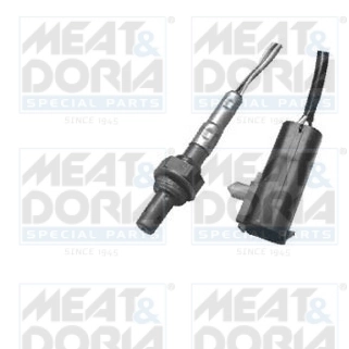 Oxygen Sensor